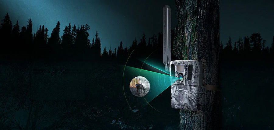 HIKMICRO M15 Trail Camera Review