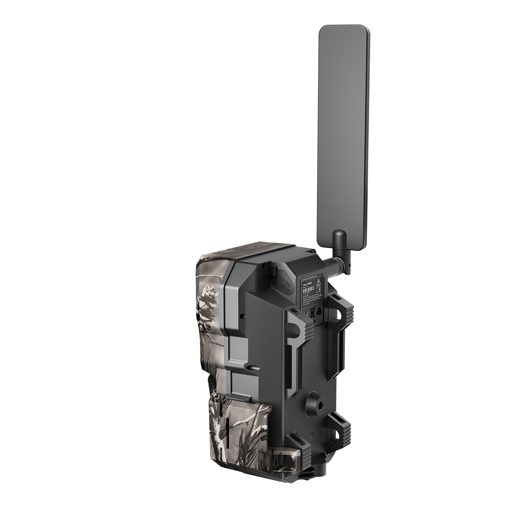 T16 Trail Camera Twin Pack AA