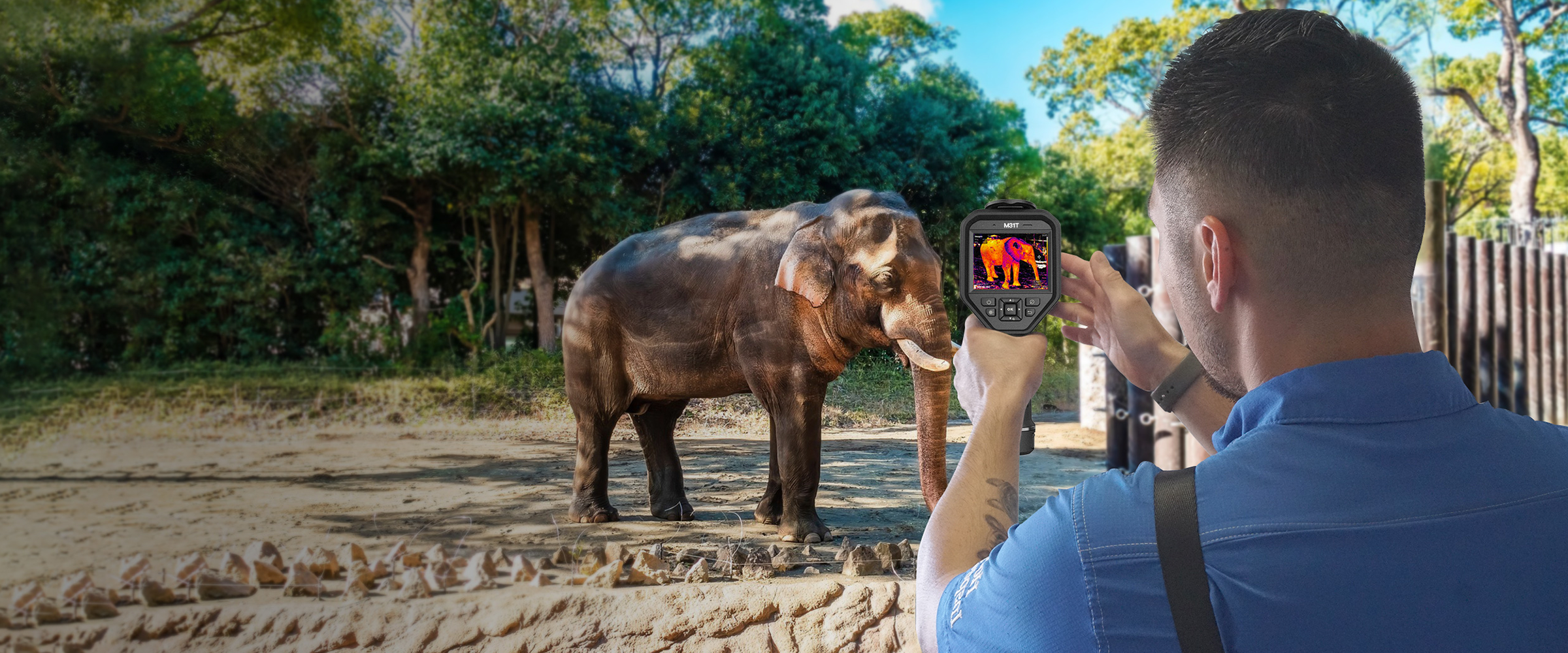 Wildlife Observation