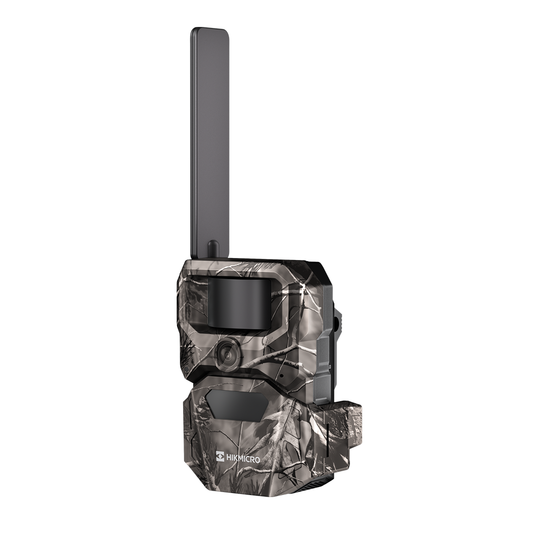 T16 Trail Camera Twin Pack 18650