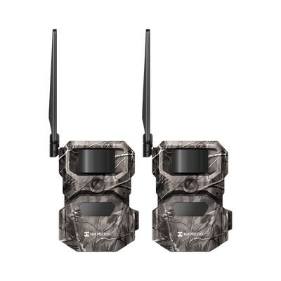T16 Trail Camera Twin Pack AA